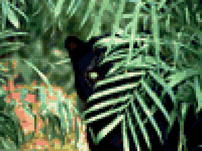 пантера - предпросмотр