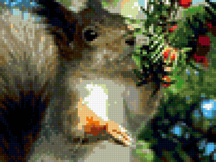 белка - предпросмотр