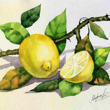 Оригинал схемы вышивки «лимоны» (№175365)