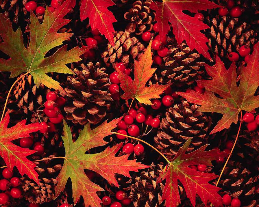 Подушка "Осень" - шишки, листочки, рябина - оригинал