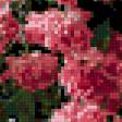 Предпросмотр схемы вышивки «утренние розы» (№175473)