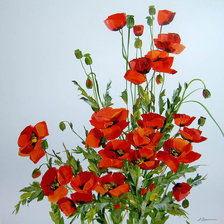 Схема вышивки «маки»