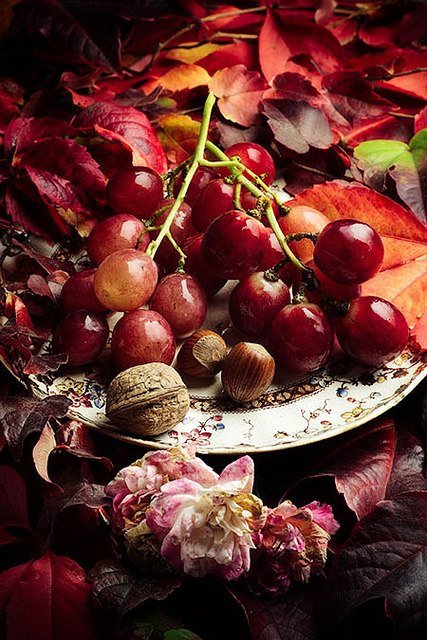 Натюрморт в красных тонах - натюрморт - оригинал