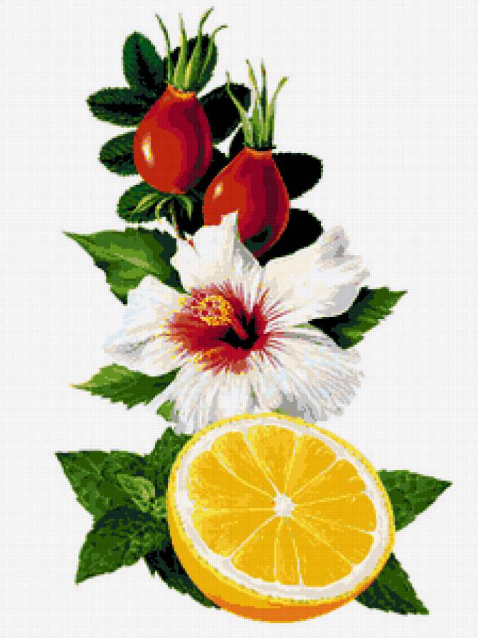 шиповник 1 - пано - предпросмотр