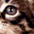 Предпросмотр схемы вышивки «кот» (№175882)