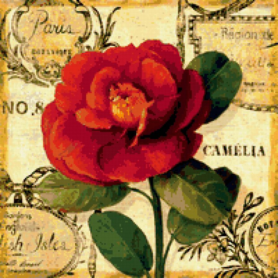 цветок - букет, природа, цветы - предпросмотр