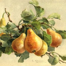 Схема вышивки «груши»