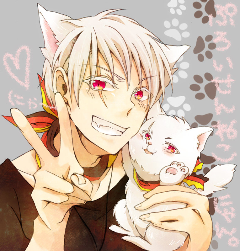 Пруссия-неко - неко, хеталия, кошка, пруссия, парень, аниме - оригинал