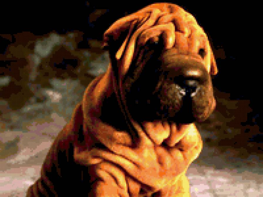 Песик - животные, собаки - предпросмотр