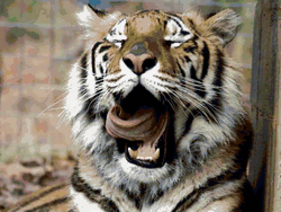 Тигренок - тигры, хищники - предпросмотр