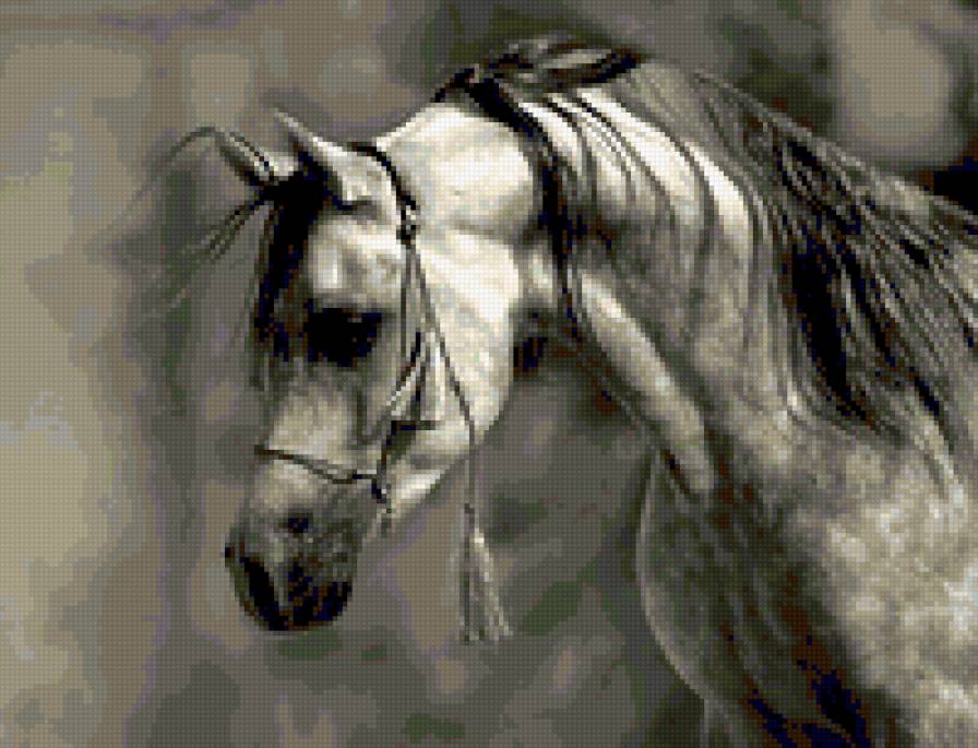 Скакун - лошади, животные - предпросмотр