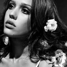 Схема вышивки «джесика альба»