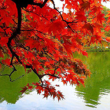 Схема вышивки «№176653»