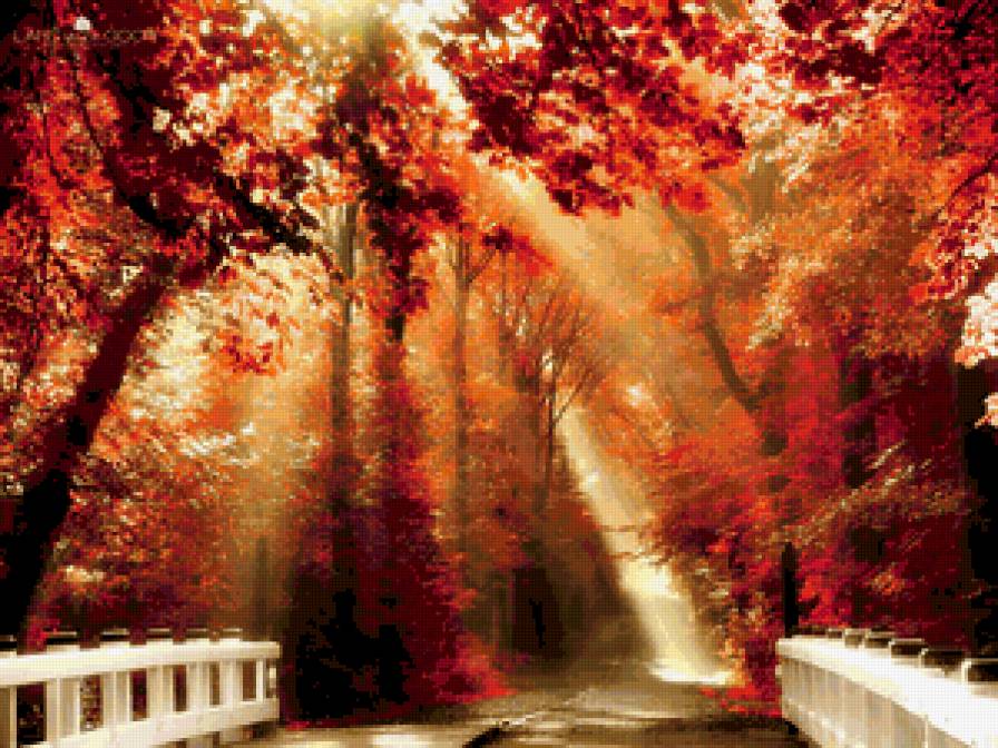 пейзаж - солнце, осень, парк - предпросмотр