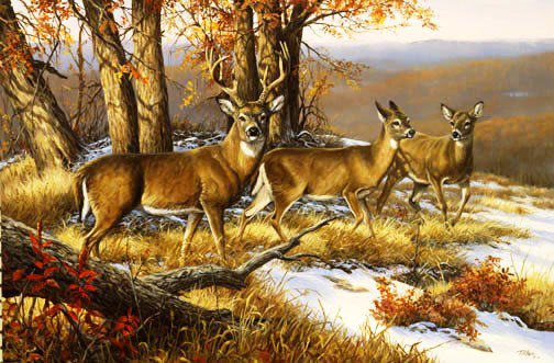 №176961 - оригинал