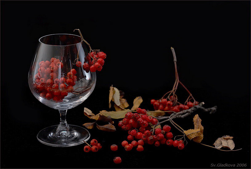 натюрморт - рябина, натюрморт - оригинал