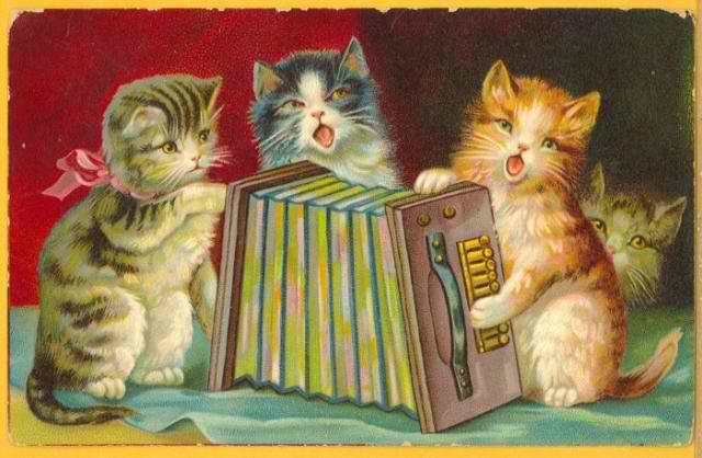 Котята - котята - оригинал