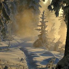 Зимний лесной пейзаж