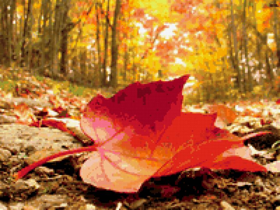 5785 - лист, осень - предпросмотр