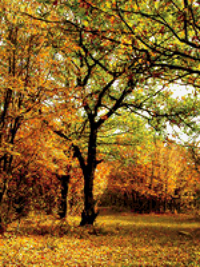 654 - предпросмотр