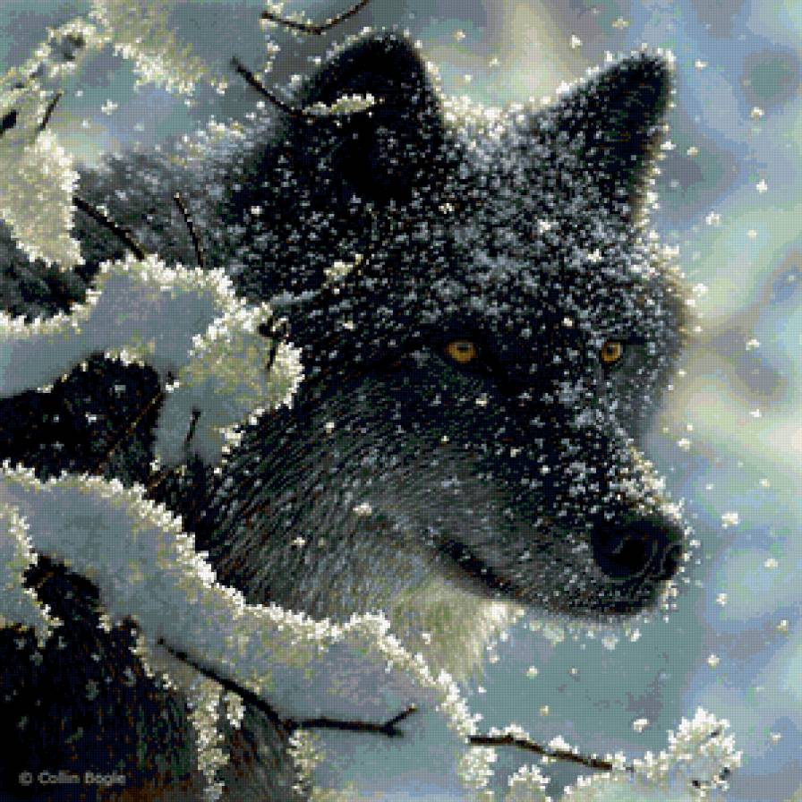 волк-одиночка - волки - предпросмотр