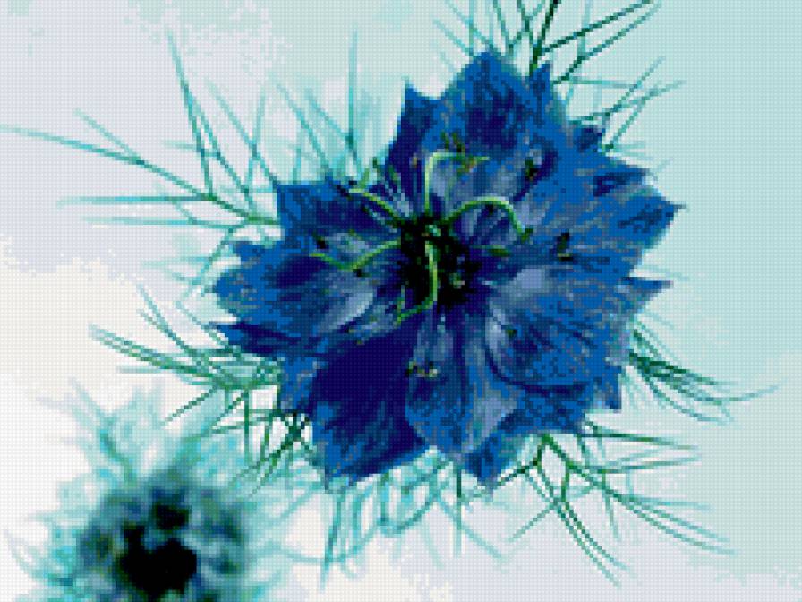 4198 - предпросмотр