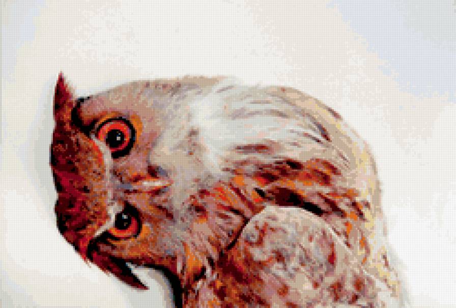 Сова - кратинки, совы, птицы - предпросмотр