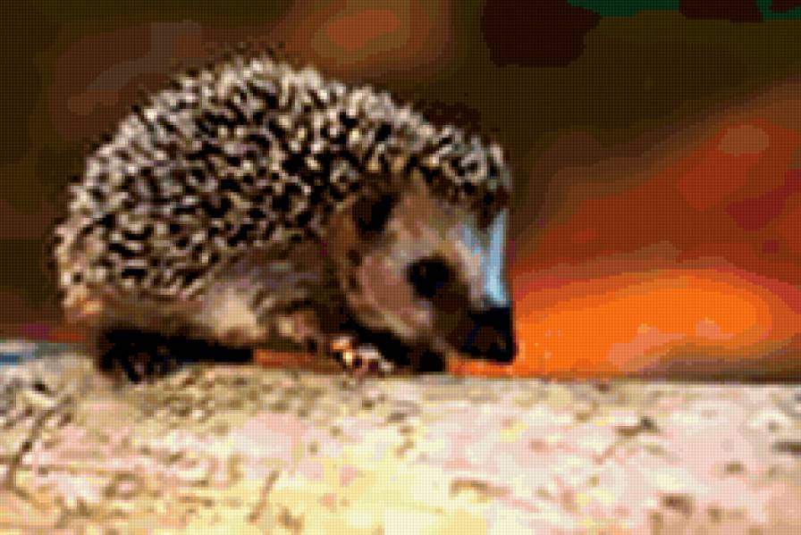 157 - ежик, животные, зверек - предпросмотр