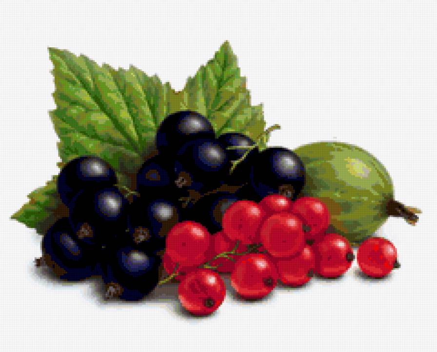 ягоды - предпросмотр