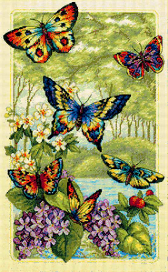 Бабочки разноцветное пано - цветы, бабочки - предпросмотр