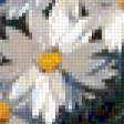 Предпросмотр схемы вышивки «ромашки» (№177590)