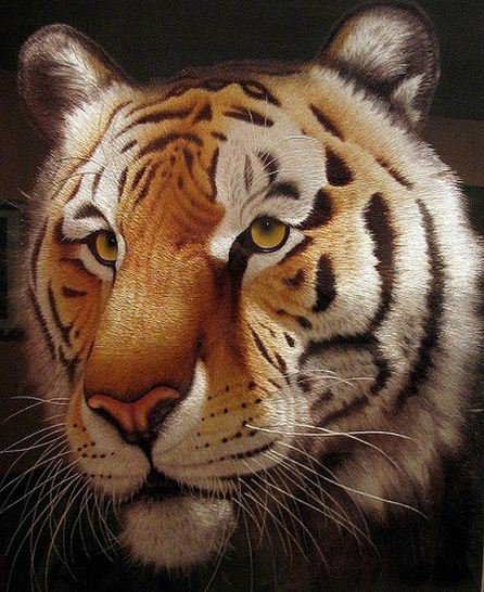 тигр - животные - оригинал