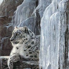 Снежный барс