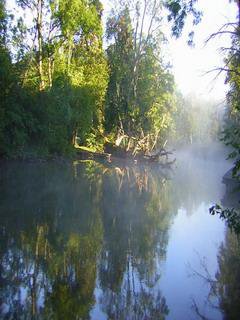 №177671 - вода, природа - оригинал