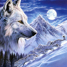 Схема вышивки «снежные волки»