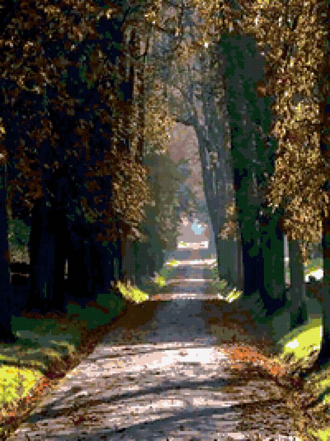 №177683 - дорога, природа - предпросмотр