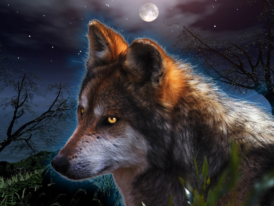 ночной страж - волки ночь - оригинал