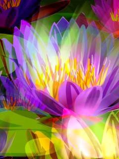 №177709 - цветок, радуга - оригинал