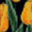 Предпросмотр схемы вышивки «Поле тюльпанов» (№177767)
