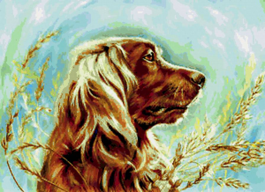 №177824 - собака, животные - предпросмотр