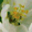 Предпросмотр схемы вышивки «яблоко» (№177908)