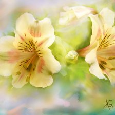 Схема вышивки «№178142»