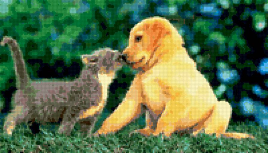 Любовь... - собаки, кошки, любовь - предпросмотр