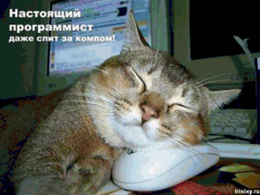 комп - предпросмотр