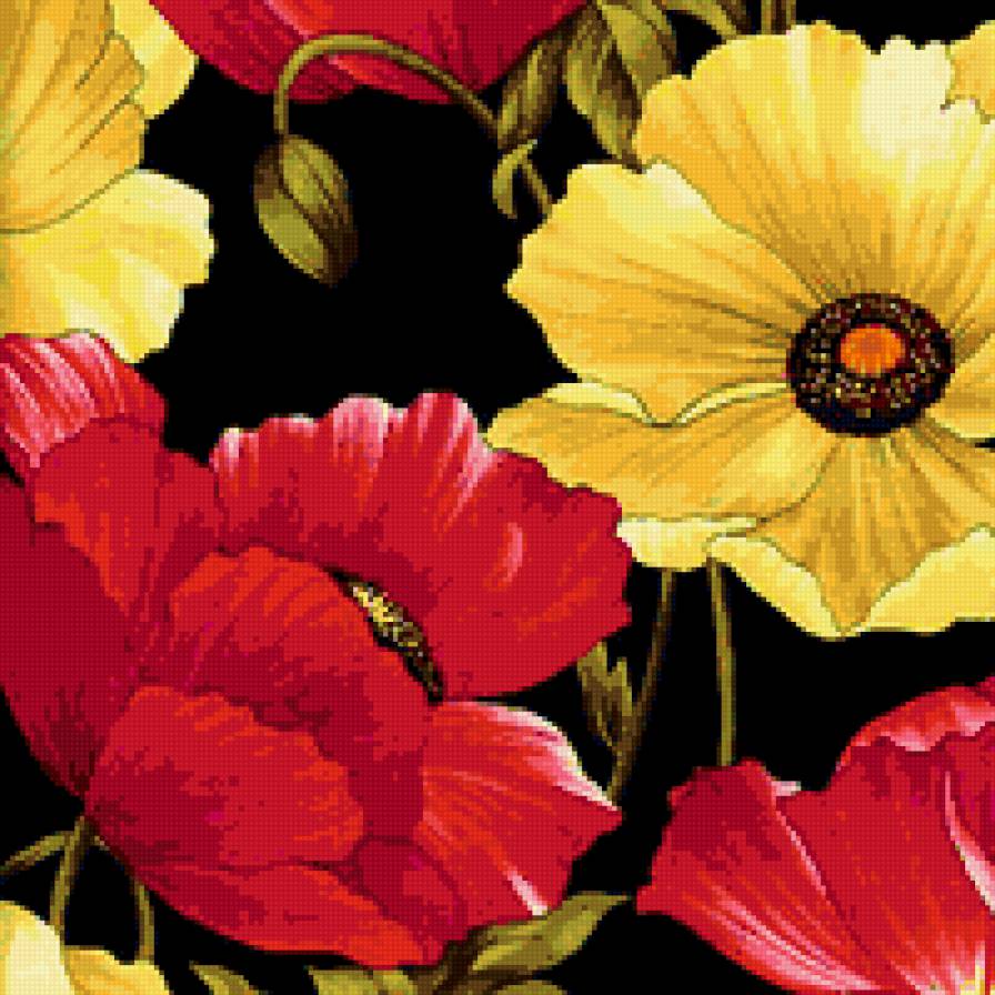 Маки - цветы, маки - предпросмотр