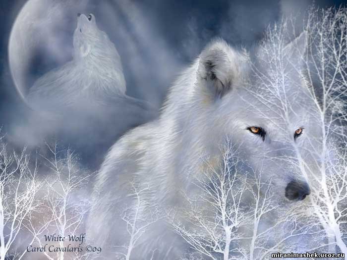 зима - оригинал