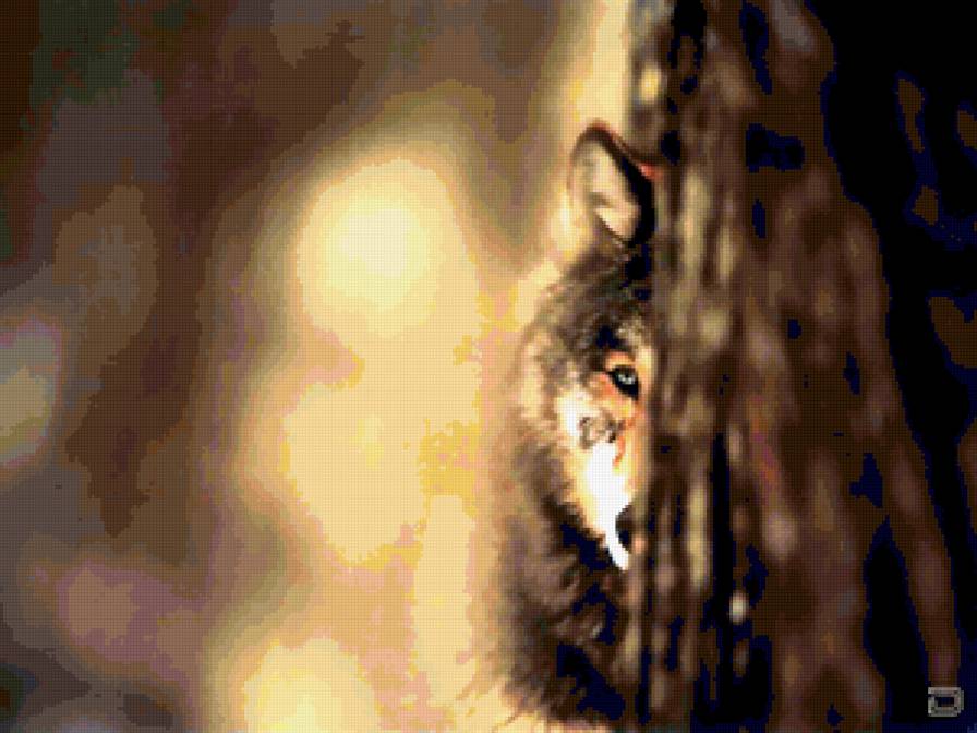 прятки - предпросмотр