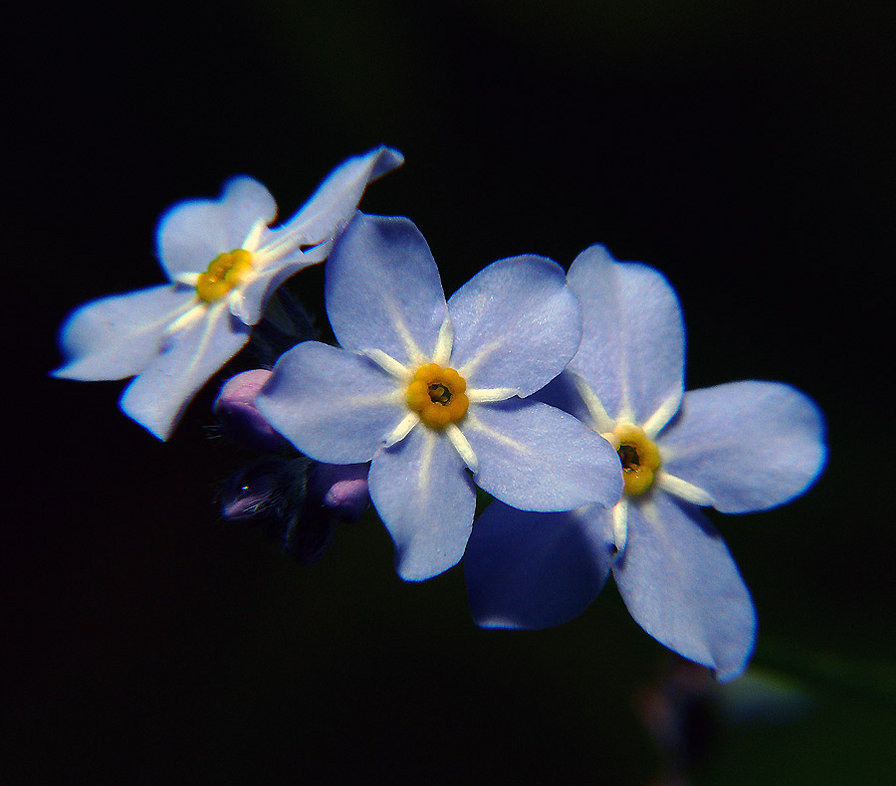 6 - оригинал