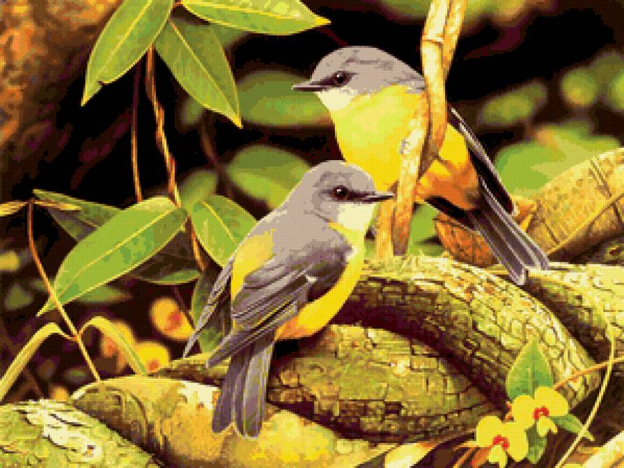 Серия : Птицы - птицы - предпросмотр