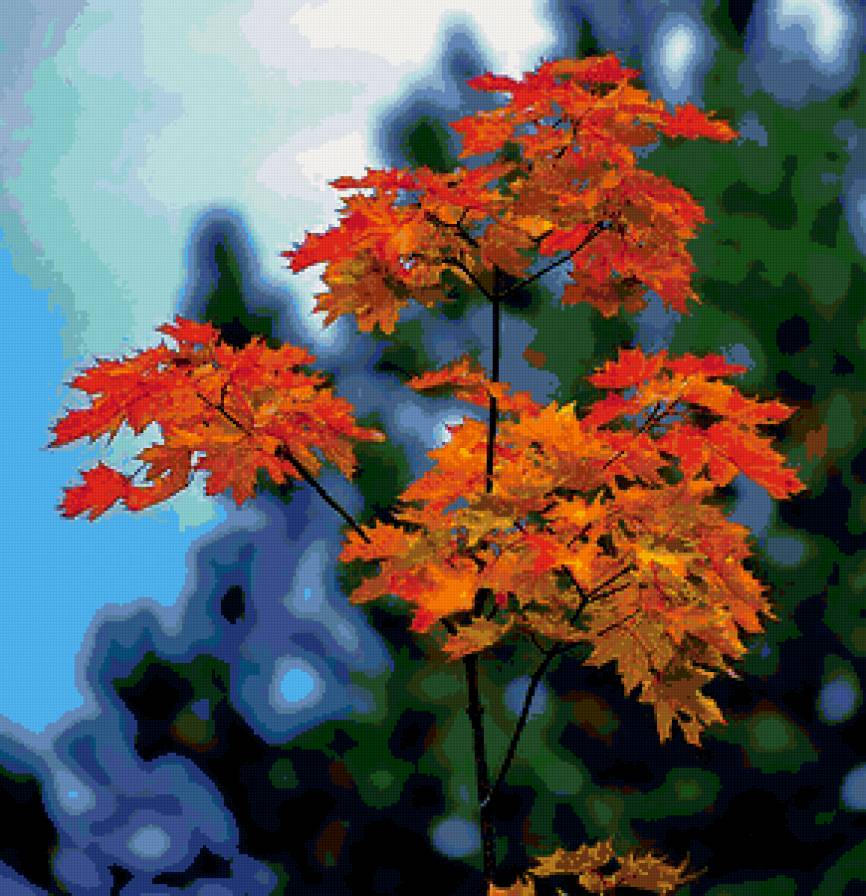 Краски осени - осень - предпросмотр